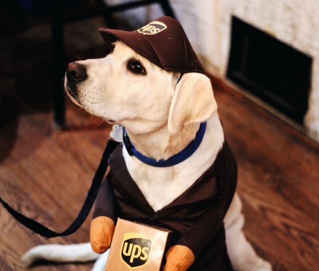 UPS Package Handler Job Description Salary, Duties & Career