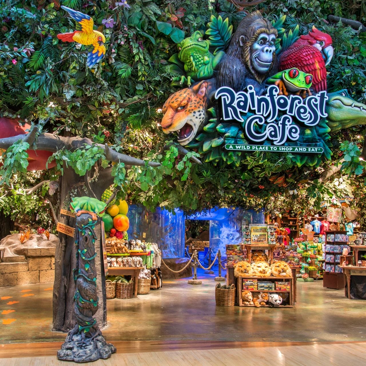 Rainforest Cafe Application Online Jobs & Career Information